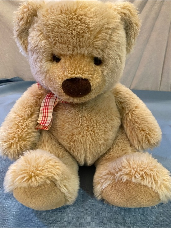 Gund Other - Gund Teddy Bear
